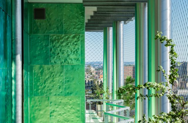 Tour de la biodiversité – 𝗠𝟲𝗕𝟮 – 𝗣𝗮𝗿𝗶𝘀 (𝟳𝟱)