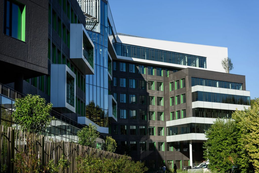 𝗘𝘃𝗲𝗿𝗴𝗿𝗲𝗲𝗻 𝗦𝗶𝗹𝘃𝗮𝗲 – 𝗠𝗼𝗻𝘁𝗿𝗼𝘂𝗴𝗲 (𝟵𝟮)