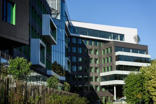 𝗘𝘃𝗲𝗿𝗴𝗿𝗲𝗲𝗻 𝗦𝗶𝗹𝘃𝗮𝗲 – 𝗠𝗼𝗻𝘁𝗿𝗼𝘂𝗴𝗲 (𝟵𝟮)